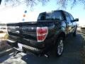 Tuxedo Black Metallic - F150 Limited SuperCrew 4x4 Photo No. 3