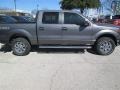 Sterling Grey - F150 XLT SuperCrew 4x4 Photo No. 7