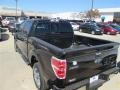 Tuxedo Black - F150 XLT SuperCrew Photo No. 9