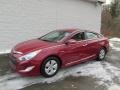 Venetian Red Pearl - Sonata Hybrid Photo No. 1