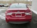 Venetian Red Pearl - Sonata Hybrid Photo No. 5