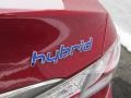 Venetian Red Pearl - Sonata Hybrid Photo No. 6