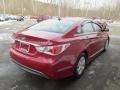 Venetian Red Pearl - Sonata Hybrid Photo No. 7