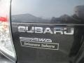 2010 Dark Gray Metallic Subaru Forester 2.5 X Premium  photo #24