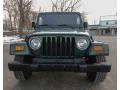 Forest Green Pearlcoat - Wrangler Sahara 4x4 Photo No. 2