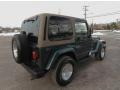 Forest Green Pearlcoat - Wrangler Sahara 4x4 Photo No. 6