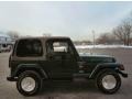 Forest Green Pearlcoat - Wrangler Sahara 4x4 Photo No. 7