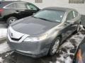 Polished Metal Metallic - TL 3.5 Photo No. 3