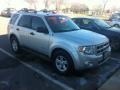 2009 Brilliant Silver Metallic Ford Escape Hybrid 4WD  photo #1