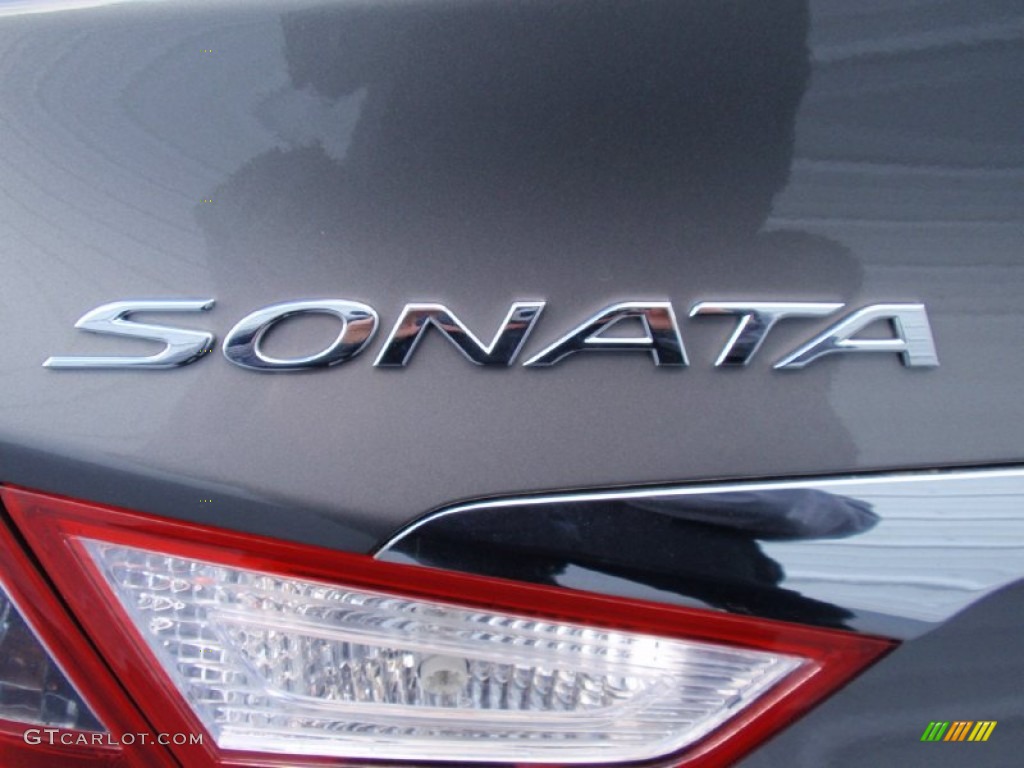 2014 Sonata GLS - Harbor Gray Metallic / Gray photo #13