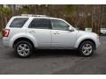 Ingot Silver Metallic - Escape Limited 4WD Photo No. 4