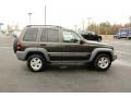 2005 Dark Khaki Pearl Jeep Liberty Sport  photo #4