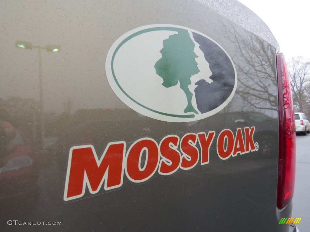 2014 1500 Mossy Oak Edition Crew Cab 4x4 - Prairie Pearl Coat / Canyon Brown/Light Frost Beige photo #9