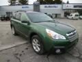 2014 Cypress Green Pearl Subaru Outback 2.5i Premium  photo #1