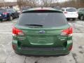 2014 Cypress Green Pearl Subaru Outback 2.5i Premium  photo #6