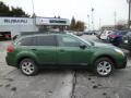 Cypress Green Pearl - Outback 2.5i Premium Photo No. 8