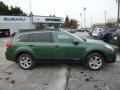 2014 Cypress Green Pearl Subaru Outback 2.5i Premium  photo #8