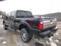 2014 Tuxedo Black Metallic Ford F250 Super Duty Platinum Crew Cab 4x4  photo #6