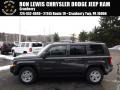 Mineral Gray Metallic 2014 Jeep Patriot Sport