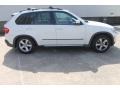 Alpine White - X5 3.0si Photo No. 11