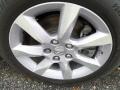 Graphite Luster Metallic - TL  Photo No. 7