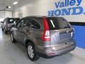 Urban Titanium Metallic - CR-V SE 4WD Photo No. 3