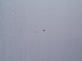 2008 Winter Frost Pearl Nissan Altima 2.5 S  photo #15