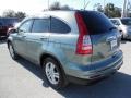 2011 Opal Sage Metallic Honda CR-V EX-L 4WD  photo #3