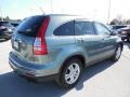 2011 Opal Sage Metallic Honda CR-V EX-L 4WD  photo #9