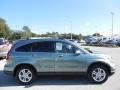 2011 Opal Sage Metallic Honda CR-V EX-L 4WD  photo #10