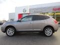 Platinum Graphite - Rogue SL Photo No. 2