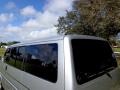 Reflex Silver Metallic - EuroVan MV Photo No. 35