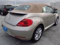 Moonrock Silver Metallic - Beetle TDI Photo No. 6
