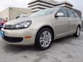 Moonrock Silver Metallic - Jetta TDI SportWagen Photo No. 3