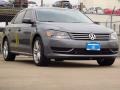 Platinum Gray Metallic - Passat 2.5L SE Photo No. 1