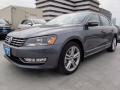 2014 Platinum Gray Metallic Volkswagen Passat TDI SEL Premium  photo #3