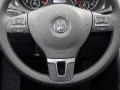 2014 Platinum Gray Metallic Volkswagen Passat TDI SEL Premium  photo #19