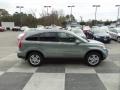 Opal Sage Metallic - CR-V EX-L Photo No. 3