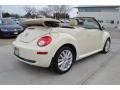 Harvest Moon Beige - New Beetle SE Convertible Photo No. 5