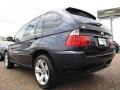 2004 Toledo Blue Metallic BMW X5 4.4i  photo #3