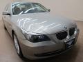 Platinum Bronze Metallic 2009 BMW 5 Series 528xi Sedan