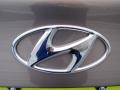 2012 Desert Bronze Hyundai Elantra GLS  photo #21