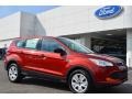 Sunset 2014 Ford Escape S Exterior