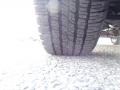 Arctic Ice - Captiva Sport LS Photo No. 24