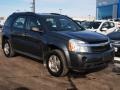 2009 Cyber Gray Metallic Chevrolet Equinox LS  photo #2