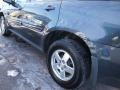 2009 Cyber Gray Metallic Chevrolet Equinox LS  photo #4