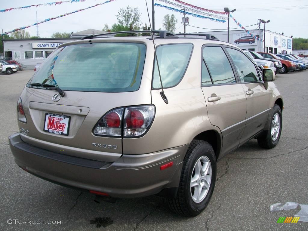 2003 RX 300 AWD - Burnished Gold Metallic / Ivory photo #6