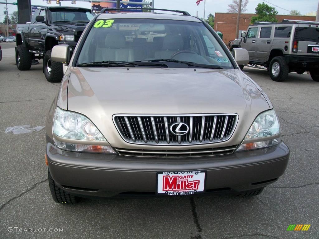 2003 RX 300 AWD - Burnished Gold Metallic / Ivory photo #8