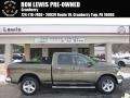 2012 Sagebrush Pearl Dodge Ram 1500 SLT Quad Cab 4x4 #90444888