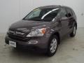 2009 Urban Titanium Metallic Honda CR-V EX-L 4WD  photo #5